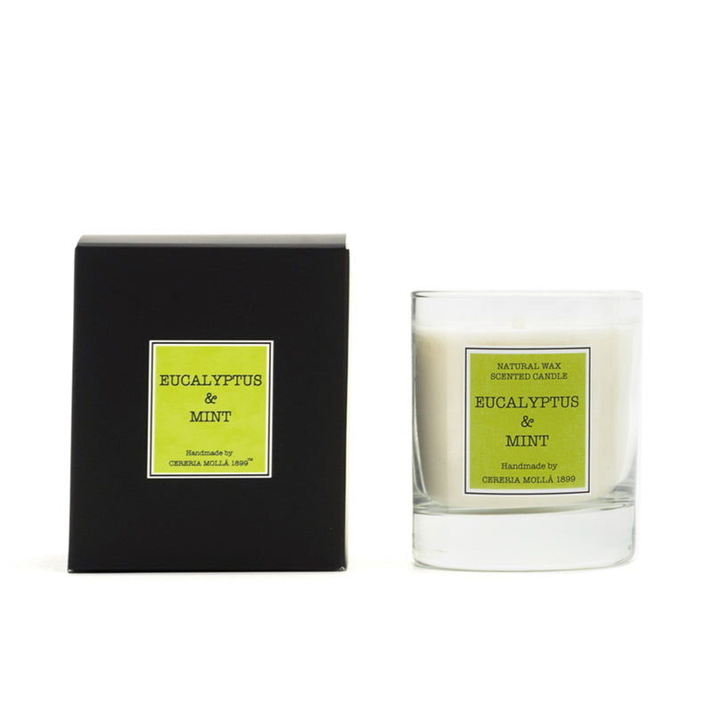 Scented Candle 230 g Eucalyptus & Mint 50 burning hours Geurkaars