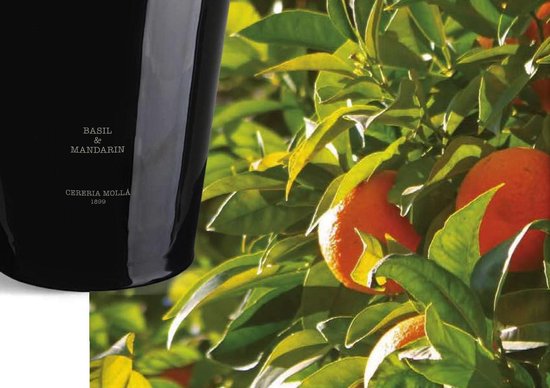 Giftset Aroma Diffuser Trendy Design 230 ml + Cereria Molla essential oil 30ml Basil & Mandarin