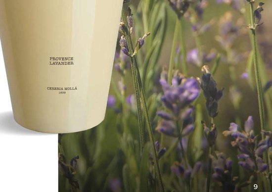 Giftset Aroma Diffuser Trendy Design 230 ml + Cereria Molla Essential Oil Provence Lavendel