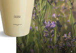 Giftset Mikado Reed Diffuser Geurstokjes 100ml + Refill 200 ml Provence Lavendel