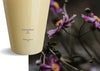 Cereria Mollà 1899 Room Spray  Body Mist 100ml Black Orchid & Lily
