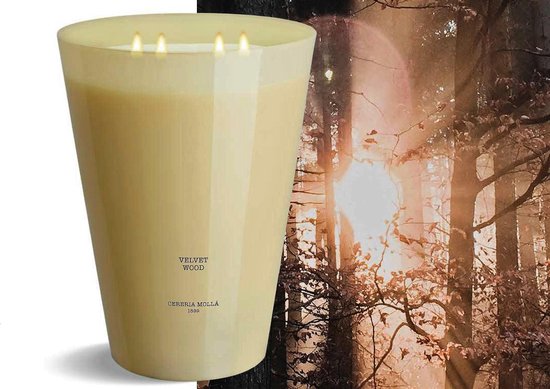 Cereria Mollà 1899 Scented Candle XXL Geurkaars Extra Extra Large 4 kg Velvet Wood