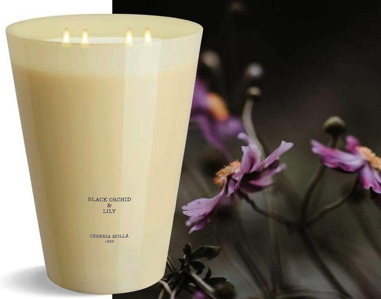 Cereria Mollà 1899 Scented Candle Geurkaars XXL 4kg Black Orchid & Lily
