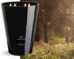 Cereria Mollà 1899 Scented Candle XXL Geurkaars 4kg Amber & Sandalwood 5-wick