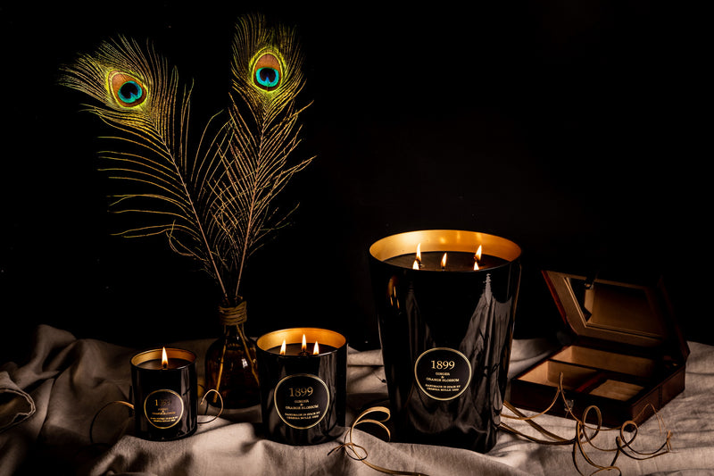 Scented Candle 230g Ginger & Orange Blossom Gold Edition 1 wick 50 burning hrs